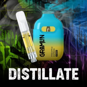 THE GRAMLIN DISPOSABLE