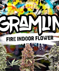 GRAMLIN FLOWER